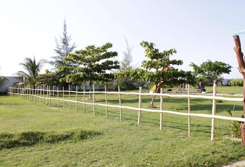 تختخواب و صبحانه Evasion