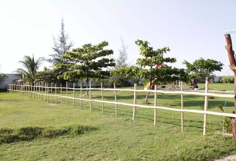 تختخواب و صبحانه Evasion