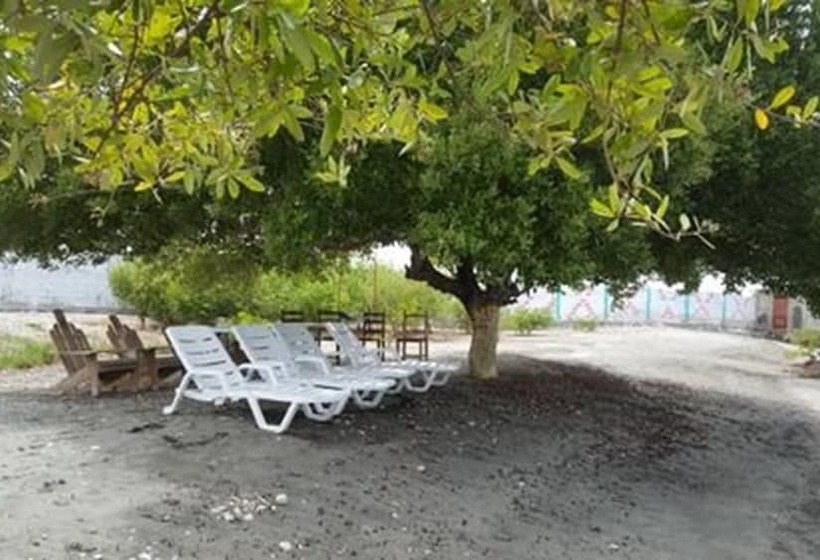 تختخواب و صبحانه Evasion