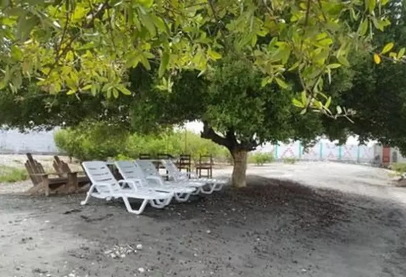 تختخواب و صبحانه Evasion