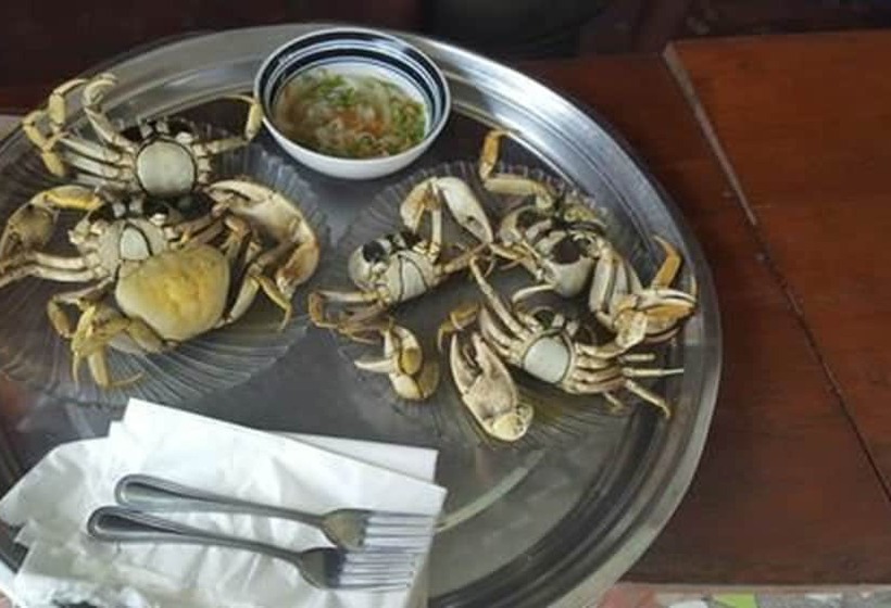 تختخواب و صبحانه Evasion