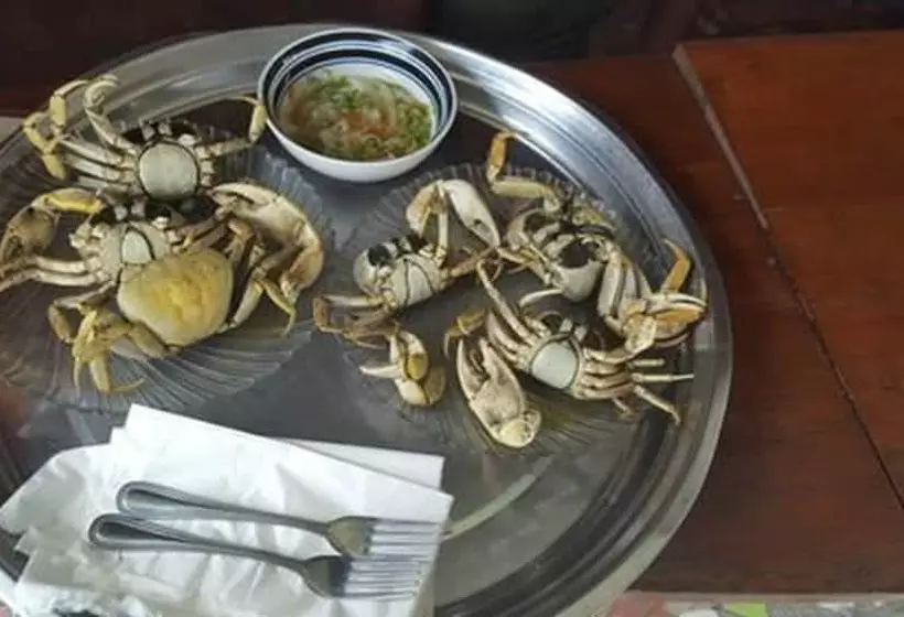 تختخواب و صبحانه Evasion