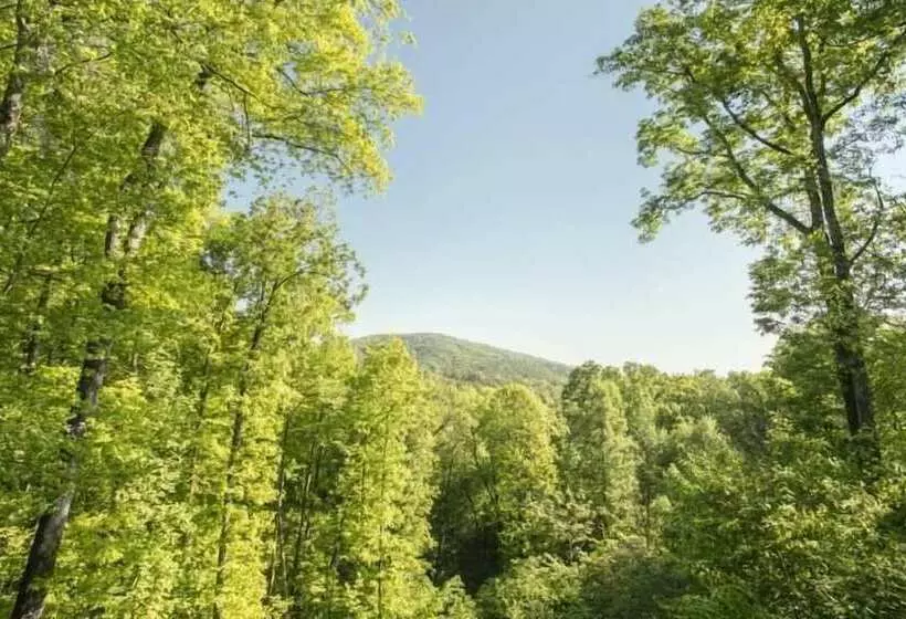 High Camp Nevaeh Cabin Rentals