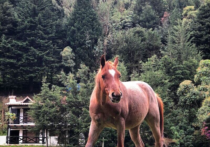 ホテル Estancia De La Campiña