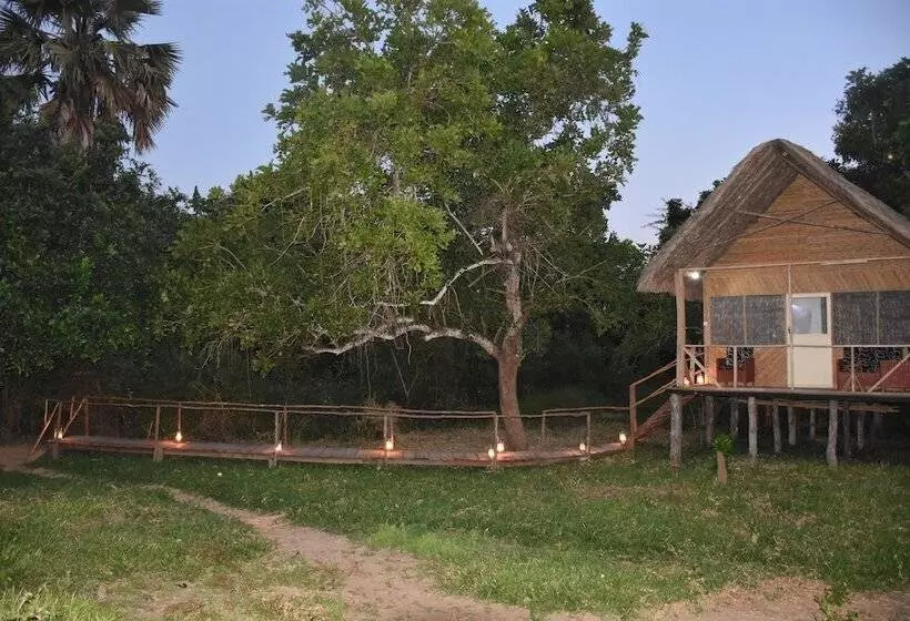 ホテル Kituri Selous Camps