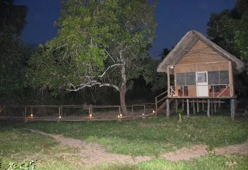 ホテル Kituri Selous Camps