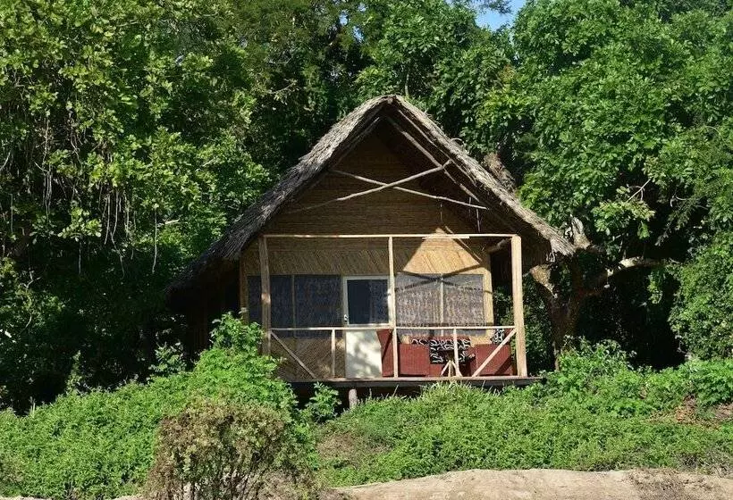 ホテル Kituri Selous Camps