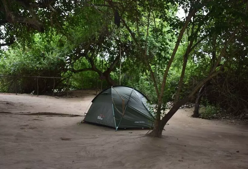 ホテル Kituri Selous Camps
