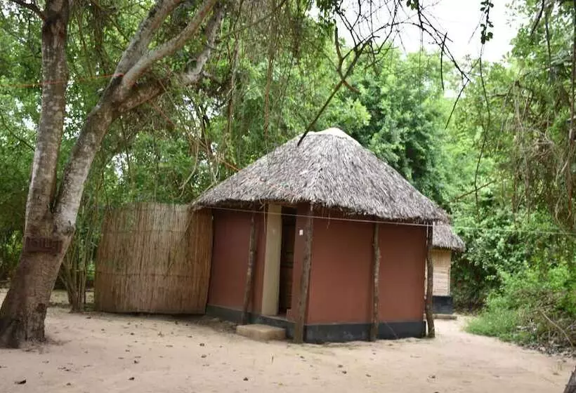 ホテル Kituri Selous Camps