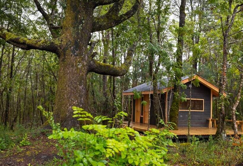 ホテル La Escondida Pucón