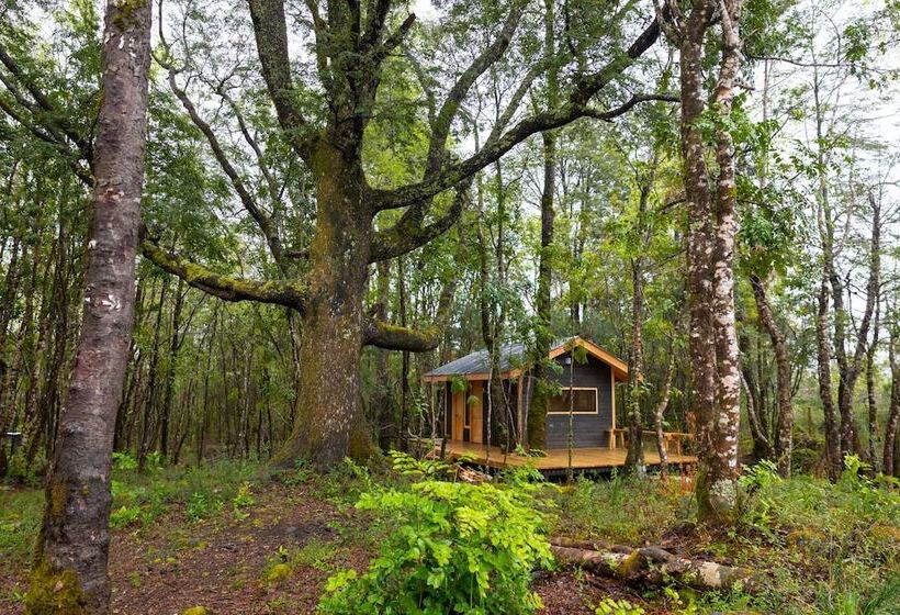 ホテル La Escondida Pucón