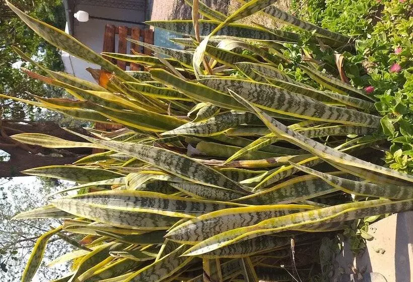 Hotelli Vista Del Sol B&b