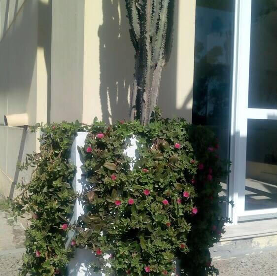 فندق Vista Del Sol B&b