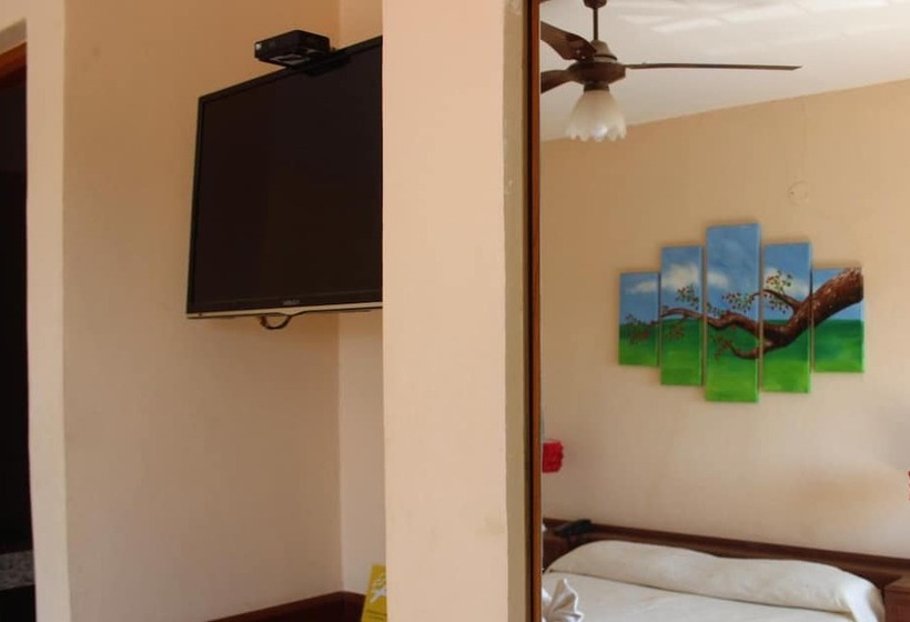 فندق Vista Del Sol B&b