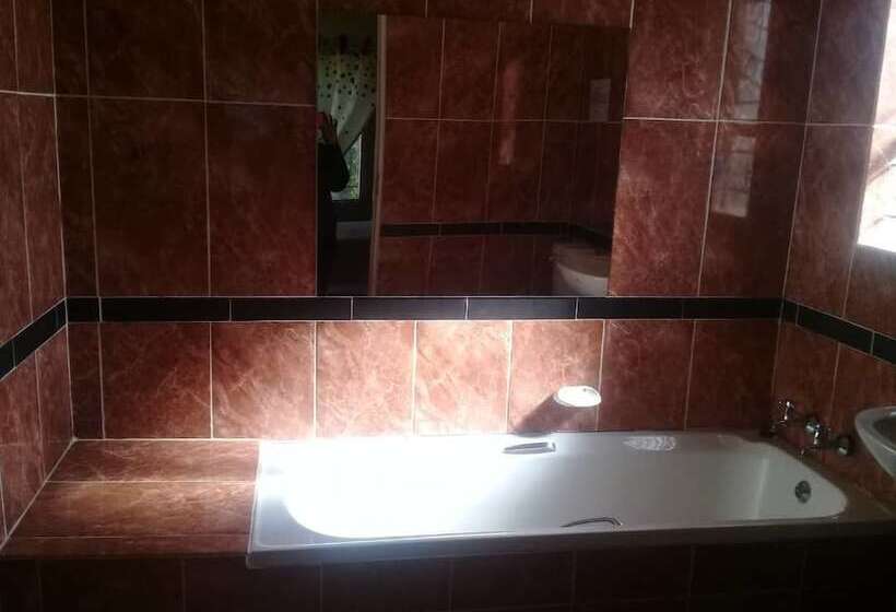 پانسیون The Hive Guest House