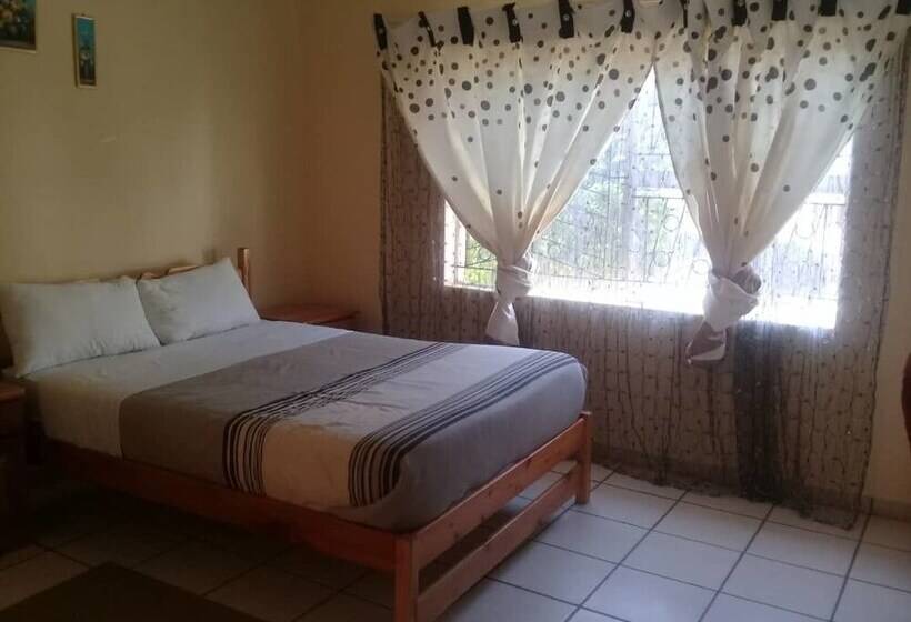 پانسیون The Hive Guest House