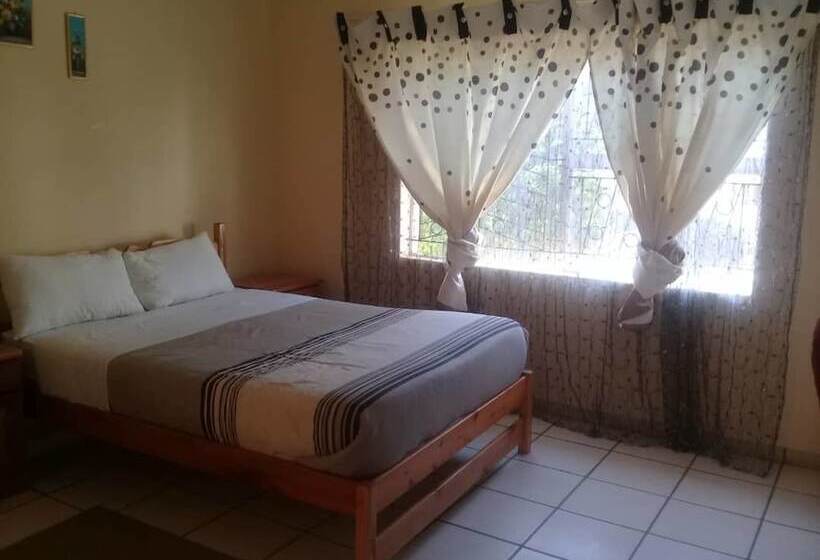 پانسیون The Hive Guest House