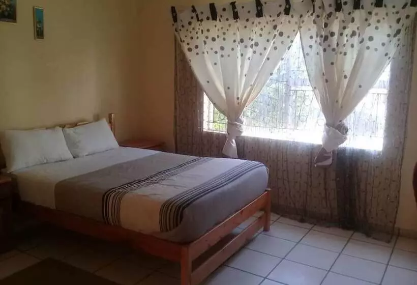 پانسیون The Hive Guest House