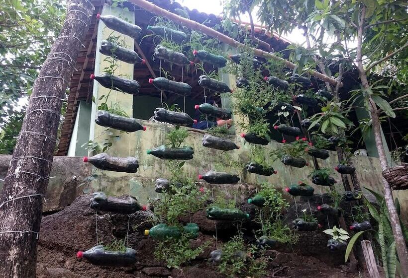 渡假胜地  Balneario Itacolomy