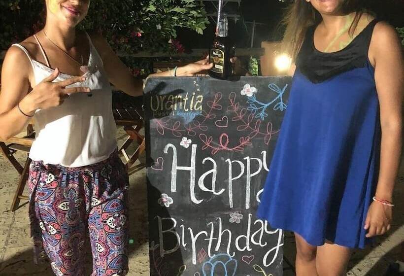 Urantia Boutique Hostel