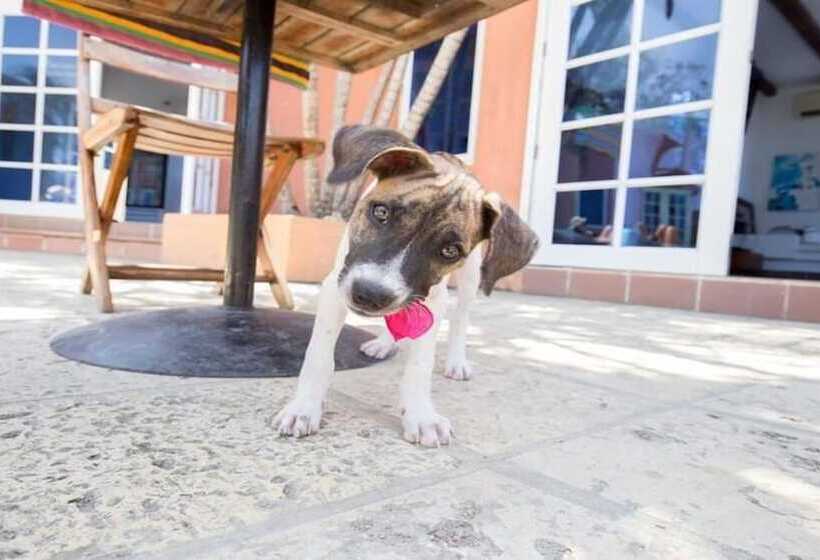 Urantia Boutique Hostel