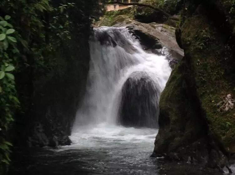تختخواب و صبحانه Cabañas Armonía Y Jardín De Orquideas