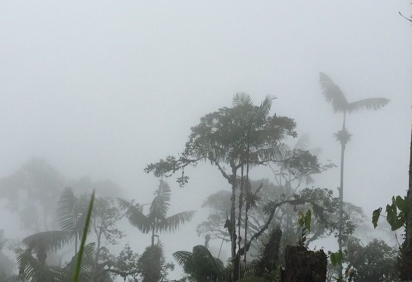 Bed and Breakfast Cabañas Armonía Y Jardín De Orquideas