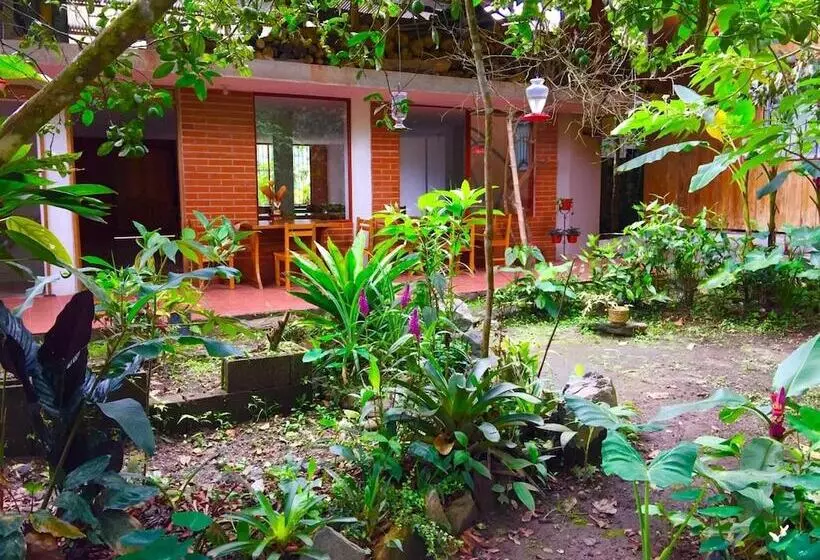 تختخواب و صبحانه Cabañas Armonía Y Jardín De Orquideas
