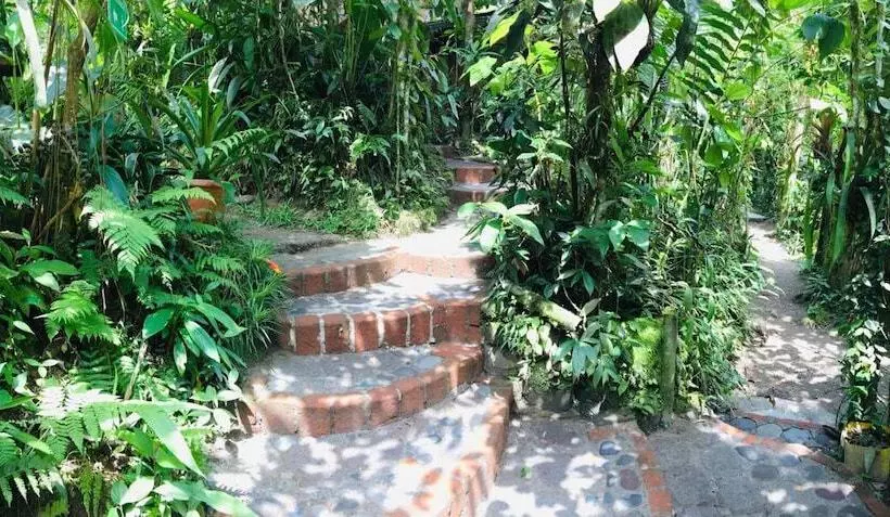 تختخواب و صبحانه Cabañas Armonía Y Jardín De Orquideas
