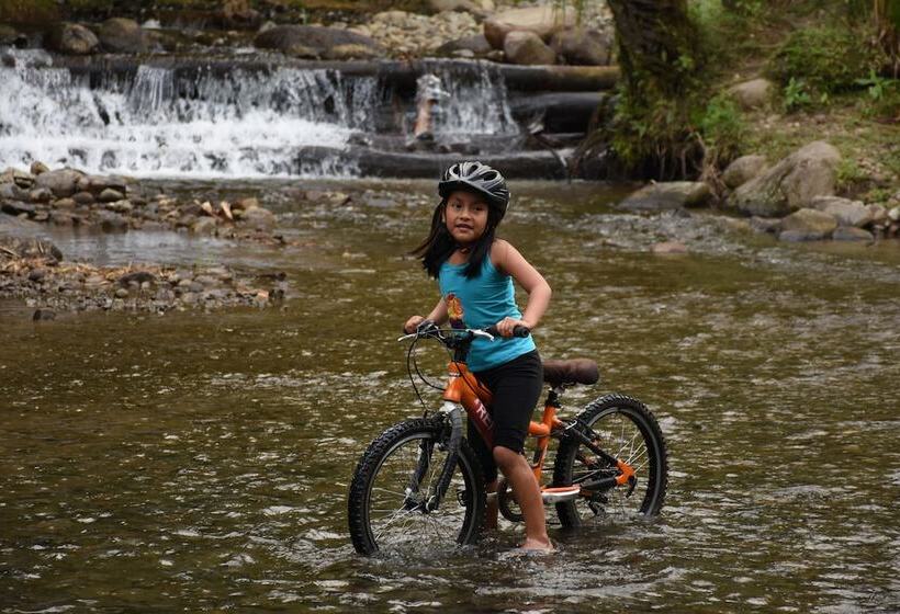Bed and Breakfast Cabañas Armonía Y Jardín De Orquideas