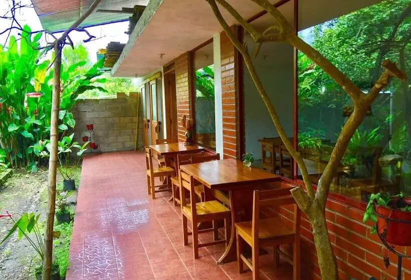 تختخواب و صبحانه Cabañas Armonía Y Jardín De Orquideas