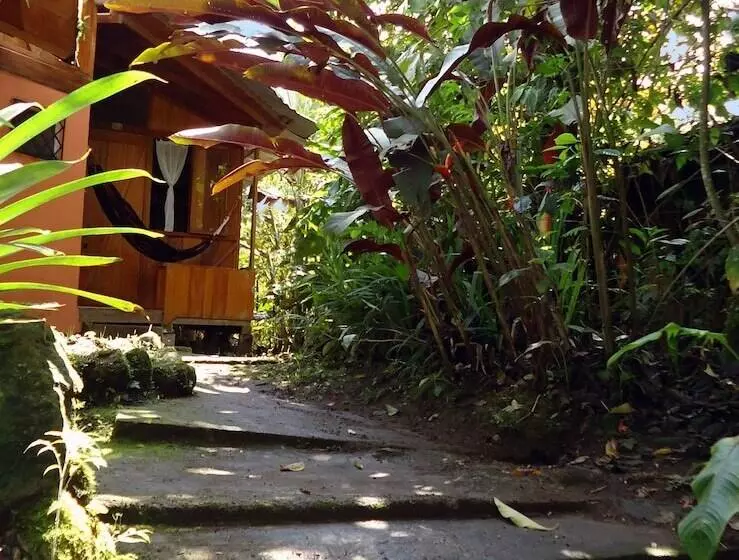 تختخواب و صبحانه Cabañas Armonía Y Jardín De Orquideas