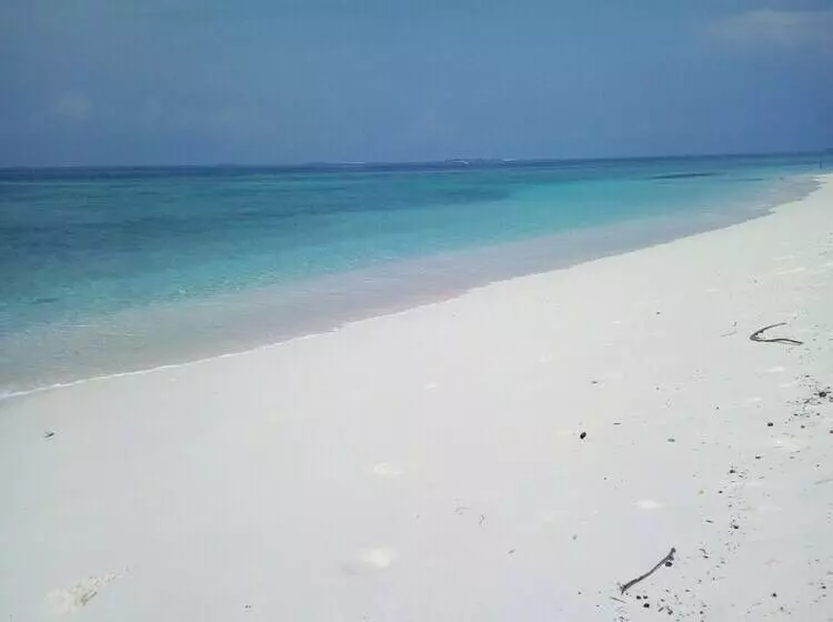 تختخواب و صبحانه Ungoofaaru Inn
