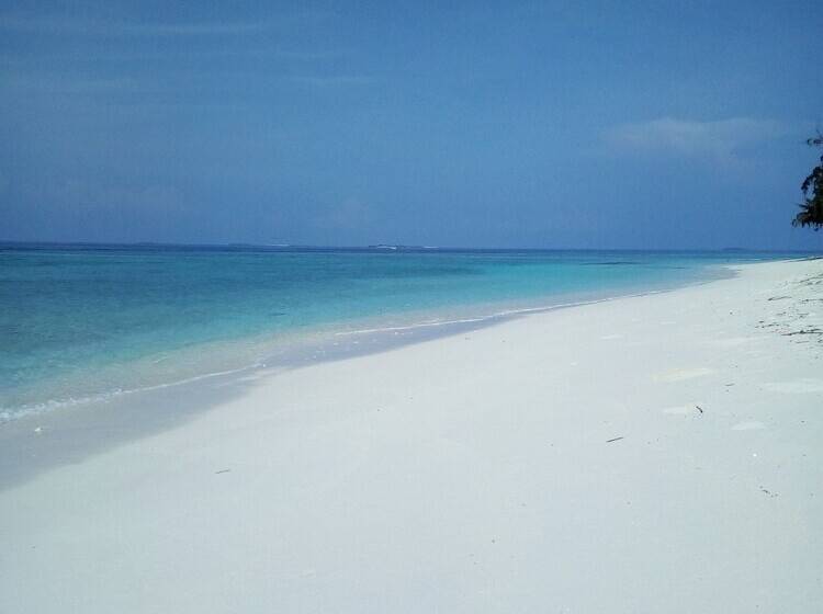 تختخواب و صبحانه Ungoofaaru Inn