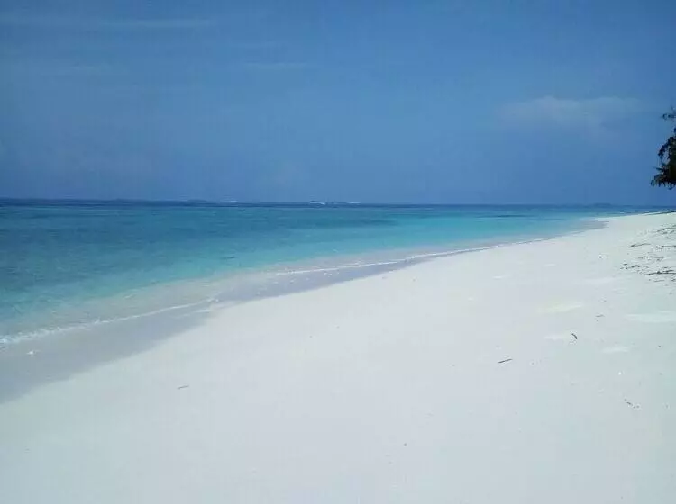 تختخواب و صبحانه Ungoofaaru Inn