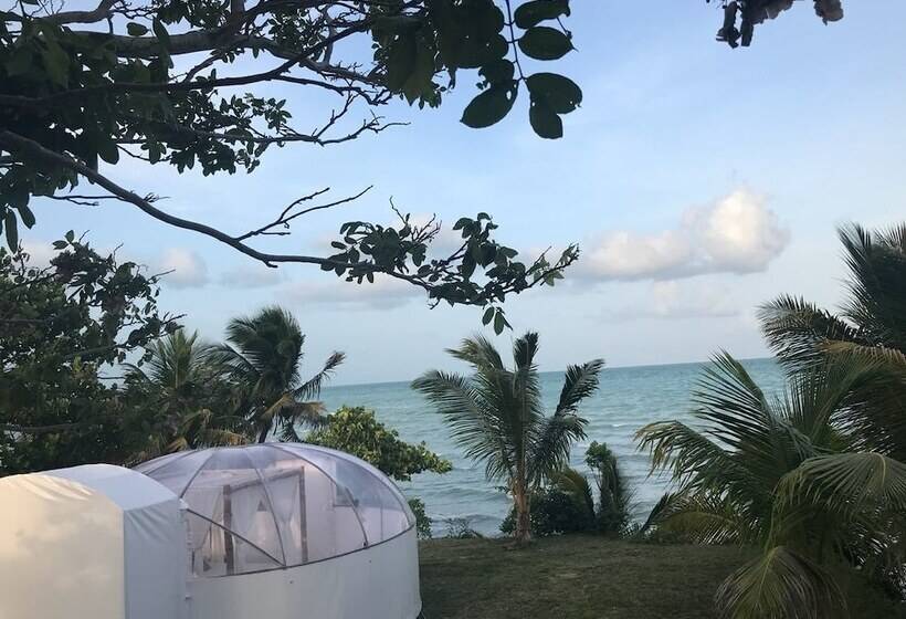 Eco Hotel Jadan Chechen