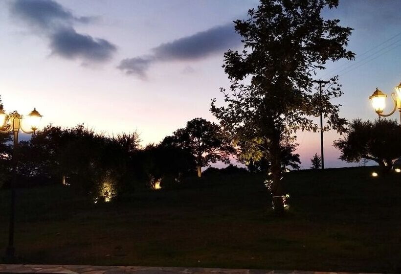 Отель Apollonion