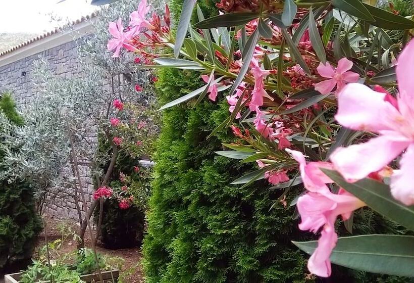 Отель Apollonion