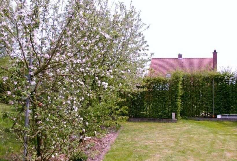 בית מלון כפרי B2b Flats Ternat