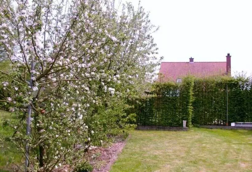 Hotelli B2b Flats Ternat