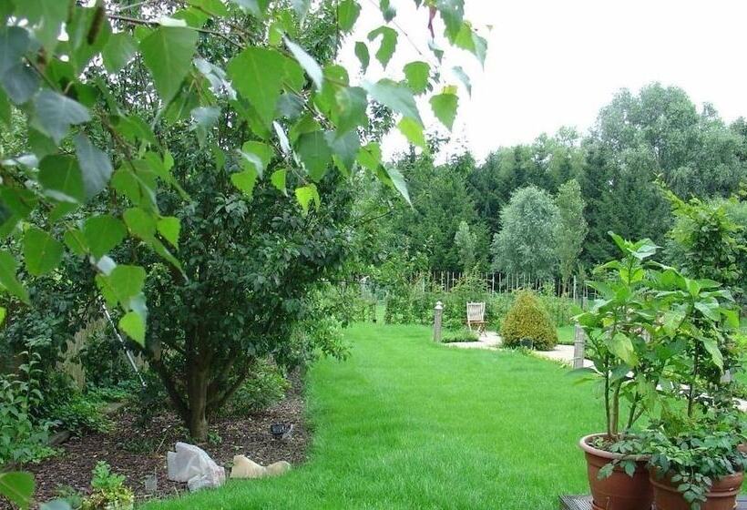 בית מלון כפרי B2b Flats Ternat