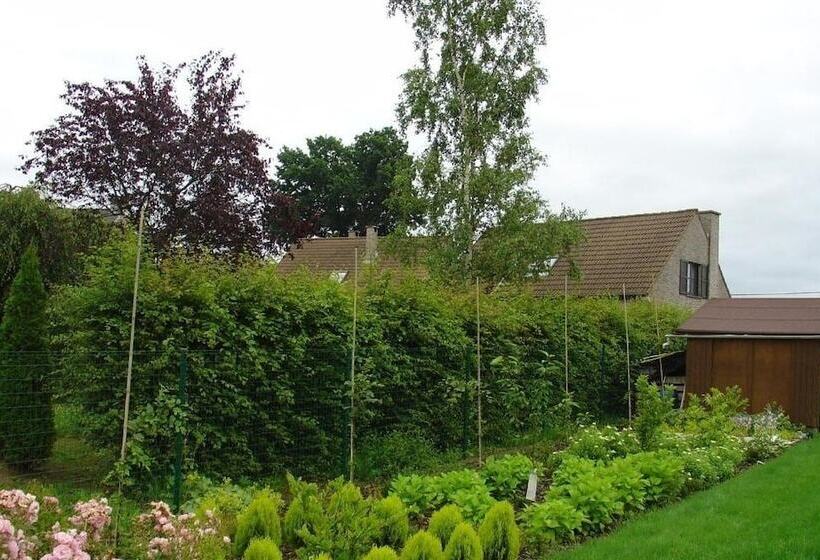 בית מלון כפרי B2b Flats Ternat