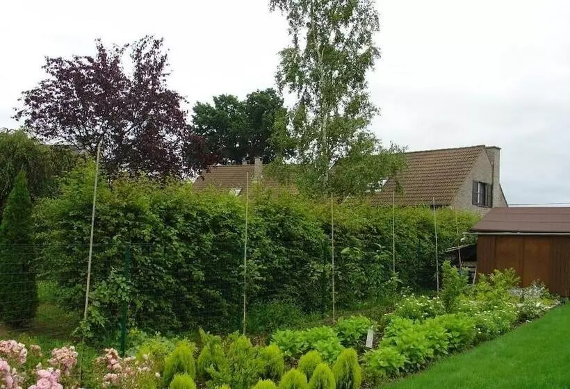 Hotelli B2b Flats Ternat