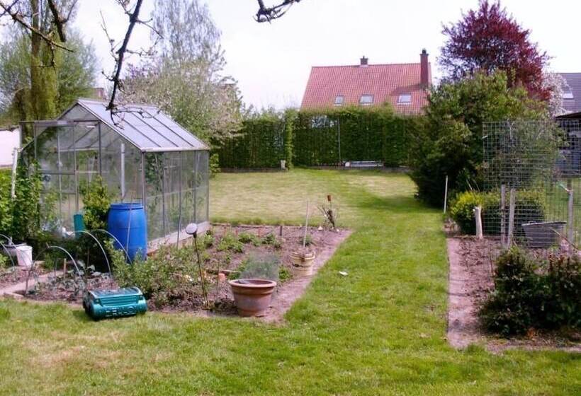 בית מלון כפרי B2b Flats Ternat