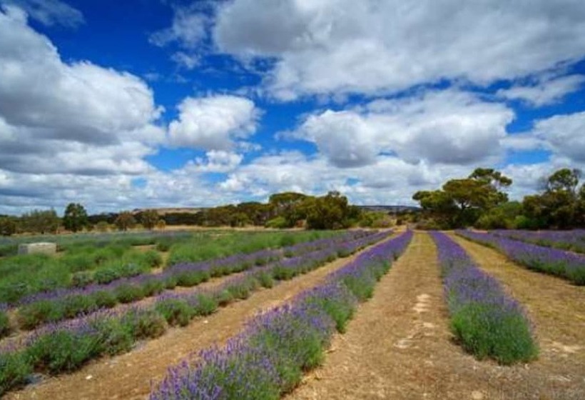 Hotel Discovery Parks Kangaroo Island