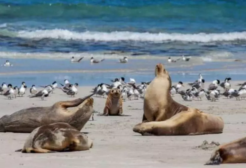 Hotelli Discovery Parks   Kangaroo Island