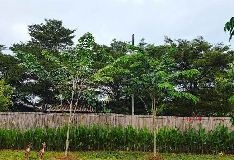 Hotel Meedee Homestay