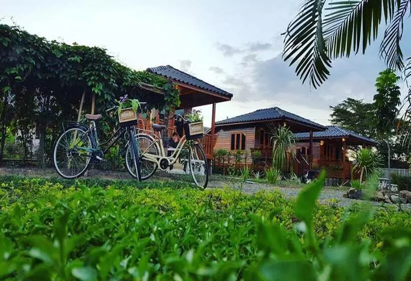 ホテル Meedee Homestay