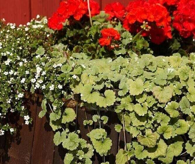 فندق Mellanfjärden