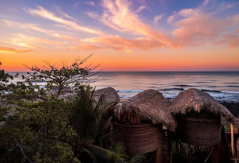 هتل Mizata By Antiresort